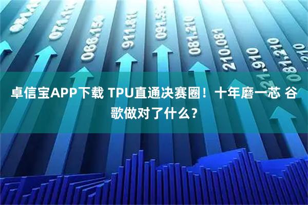 卓信宝APP下载 TPU直通决赛圈！十年磨一芯 谷歌做对了什么？