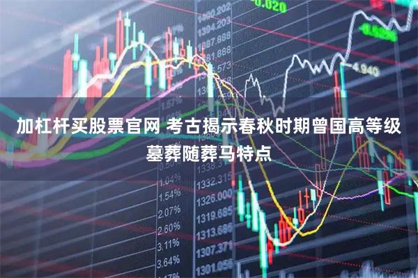 加杠杆买股票官网 考古揭示春秋时期曾国高等级墓葬随葬马特点